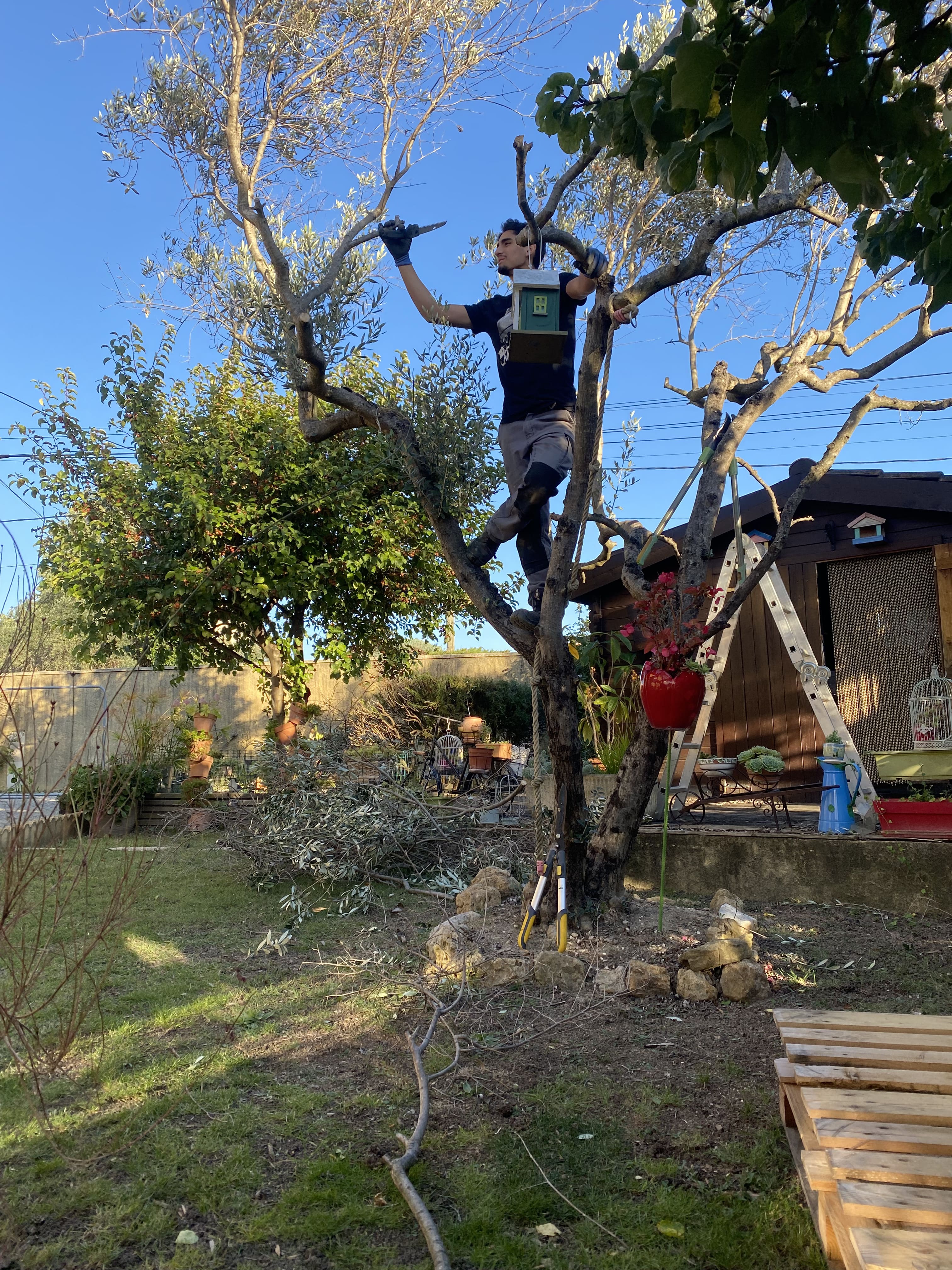 Nath'en vert – Paysagiste à Donzère